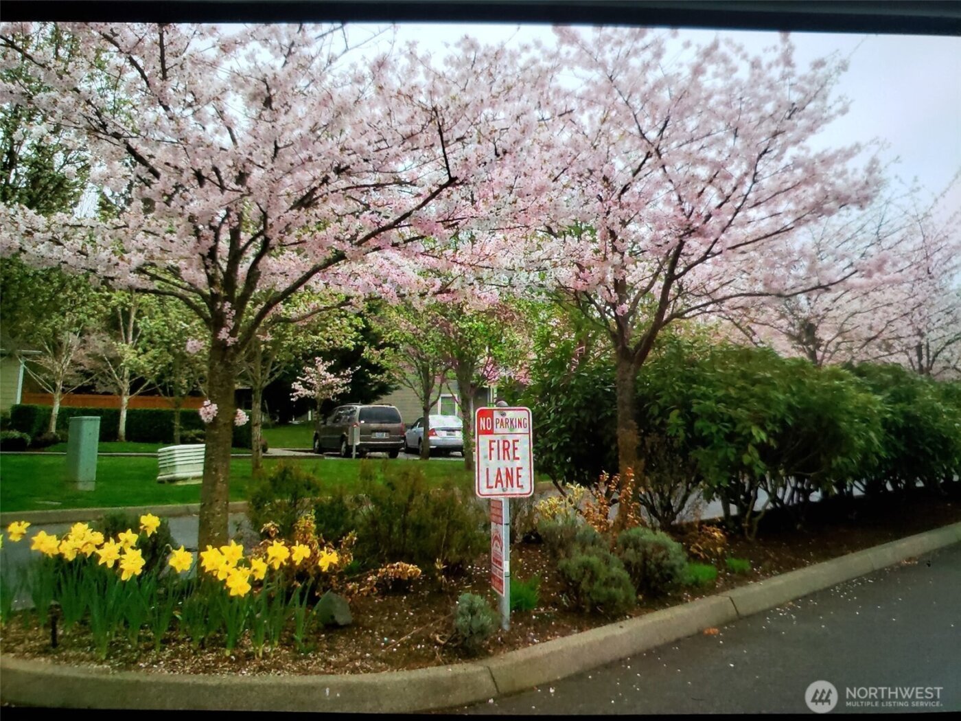 538 241st Lane SE, Sammamish, WA 98074-9807