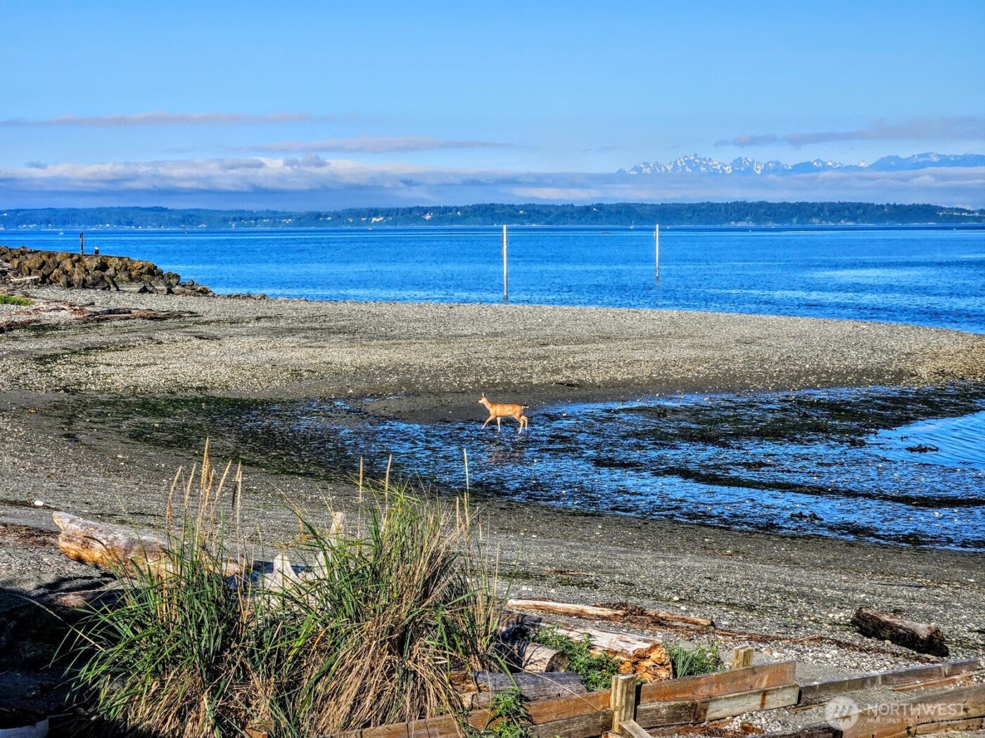 8208 Sandy Hook Drive , Clinton, WA 98236