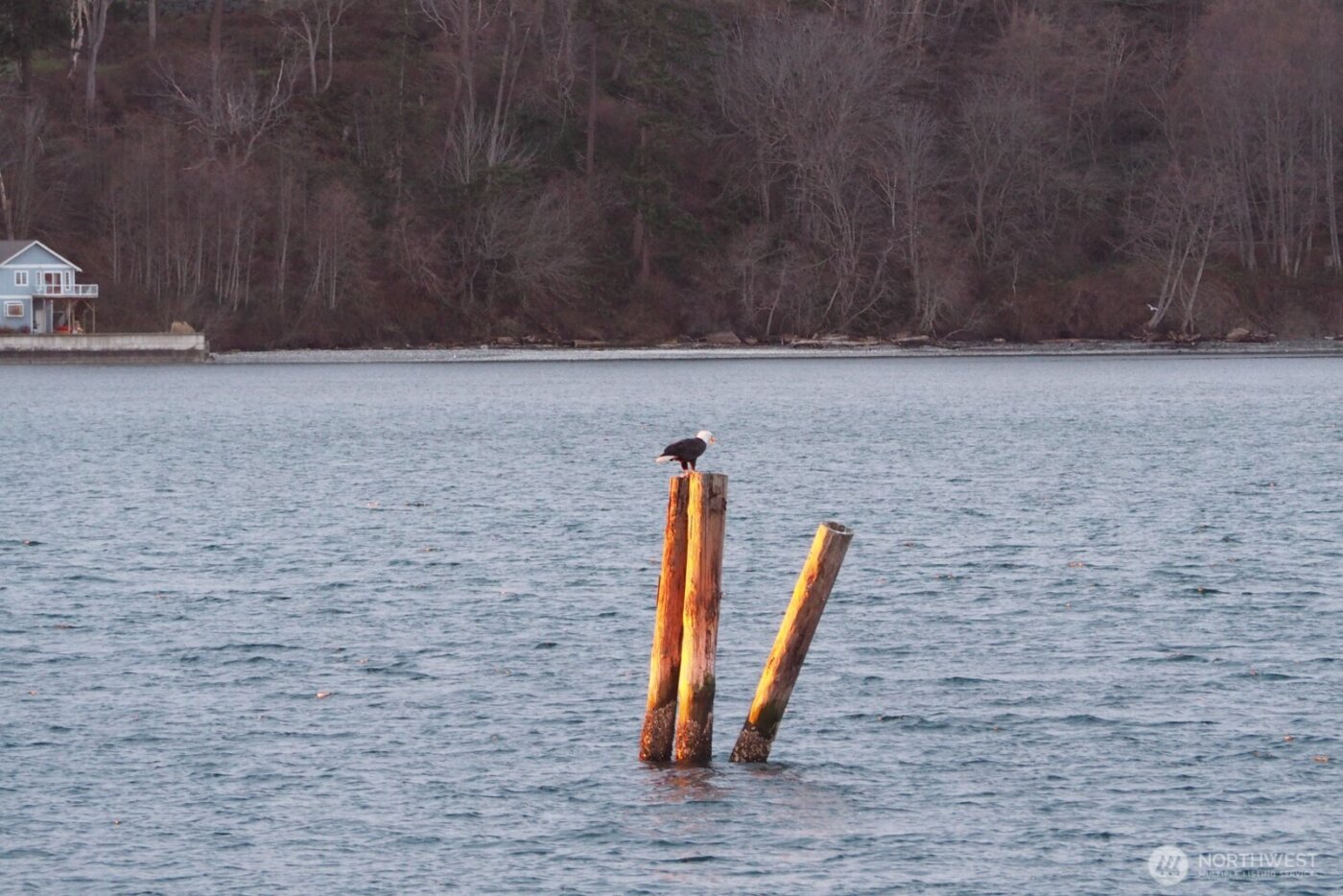 8208 Sandy Hook Drive , Clinton, WA 98236