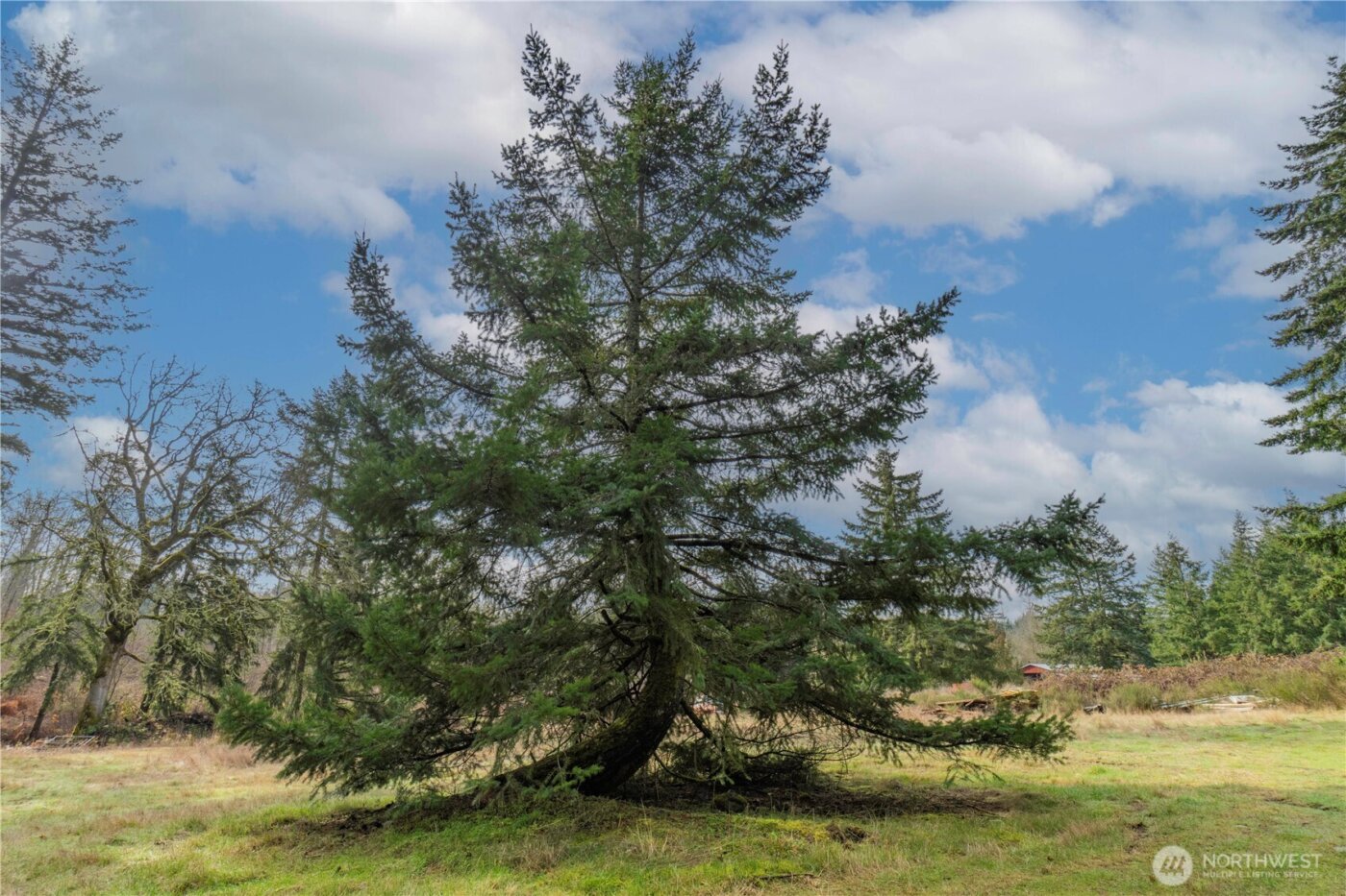 11025 Vancil Road SE, Yelm, WA 98597