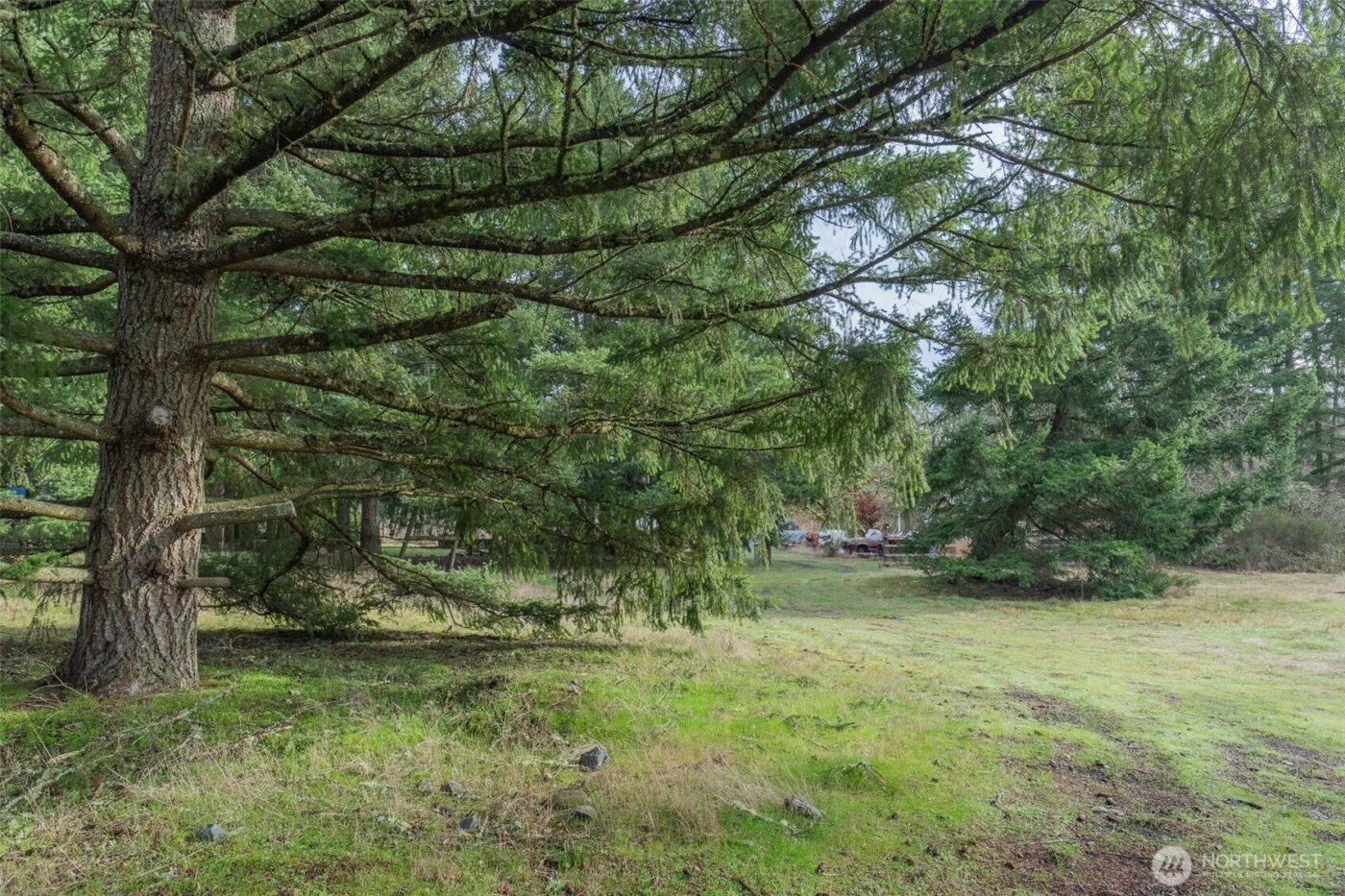 11025 Vancil Road SE, Yelm, WA 98597