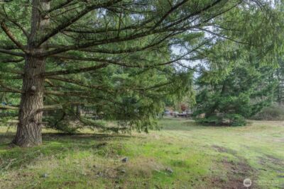 11025 Vancil Road SE, Yelm, WA 98597 - Photo 23