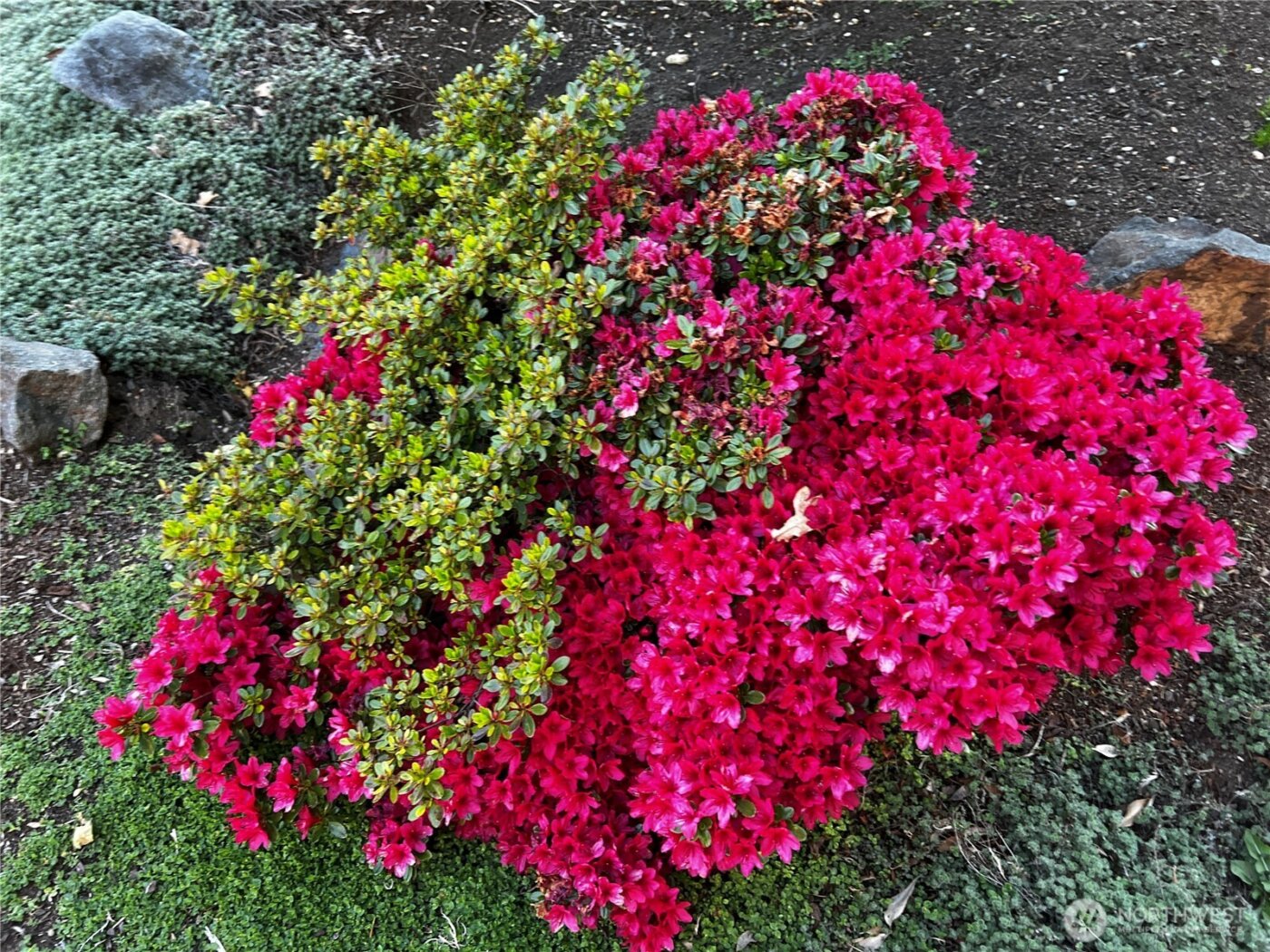 11610 19th Avenue SW, Burien, WA 98146