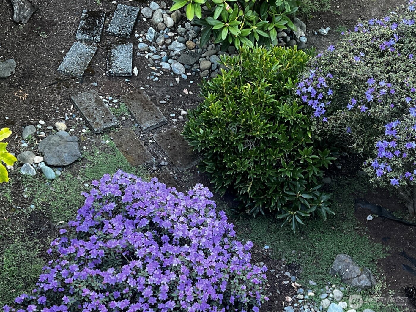 11610 19th Avenue SW, Burien, WA 98146