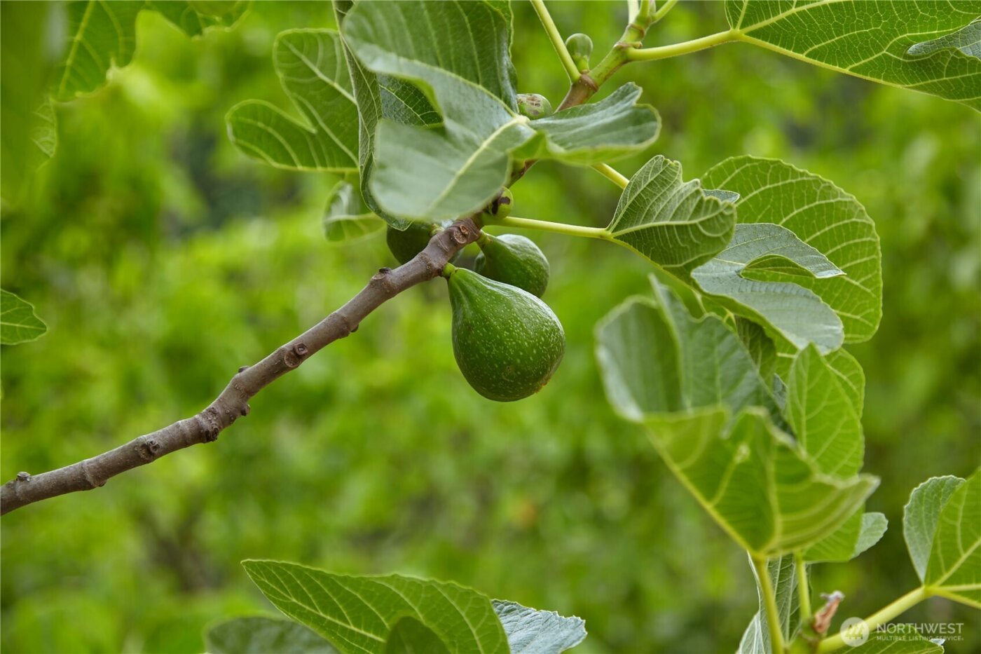 1858 SE Cedar Road , Port Orchard, WA 98367