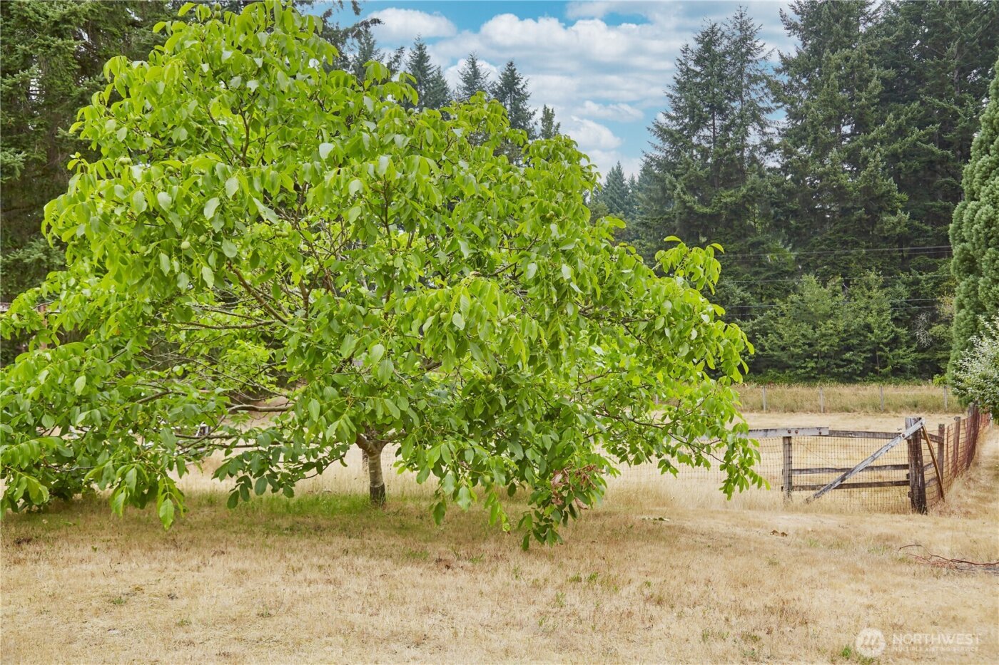 1858 SE Cedar Road , Port Orchard, WA 98367