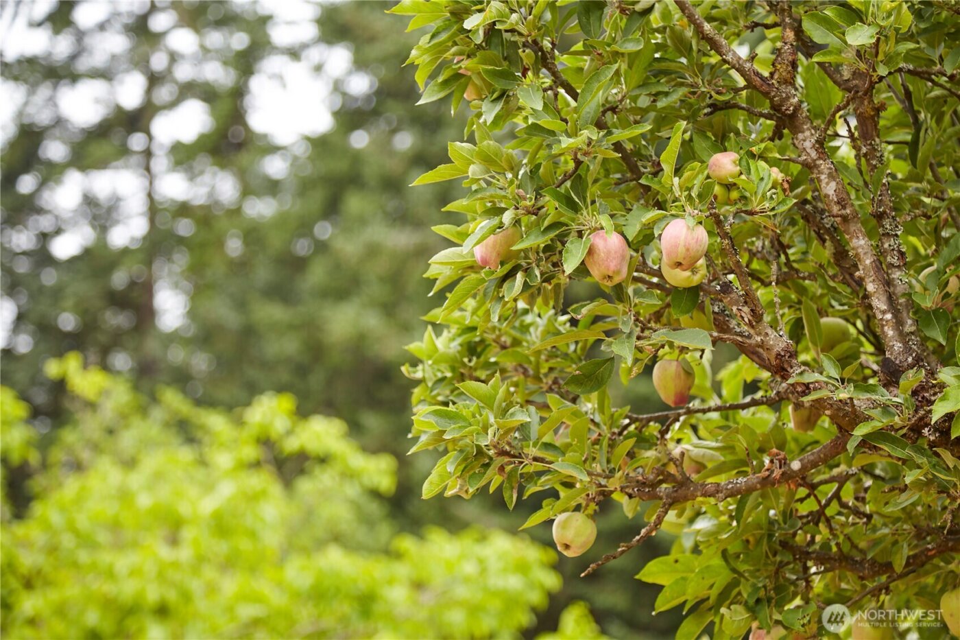 1858 SE Cedar Road , Port Orchard, WA 98367