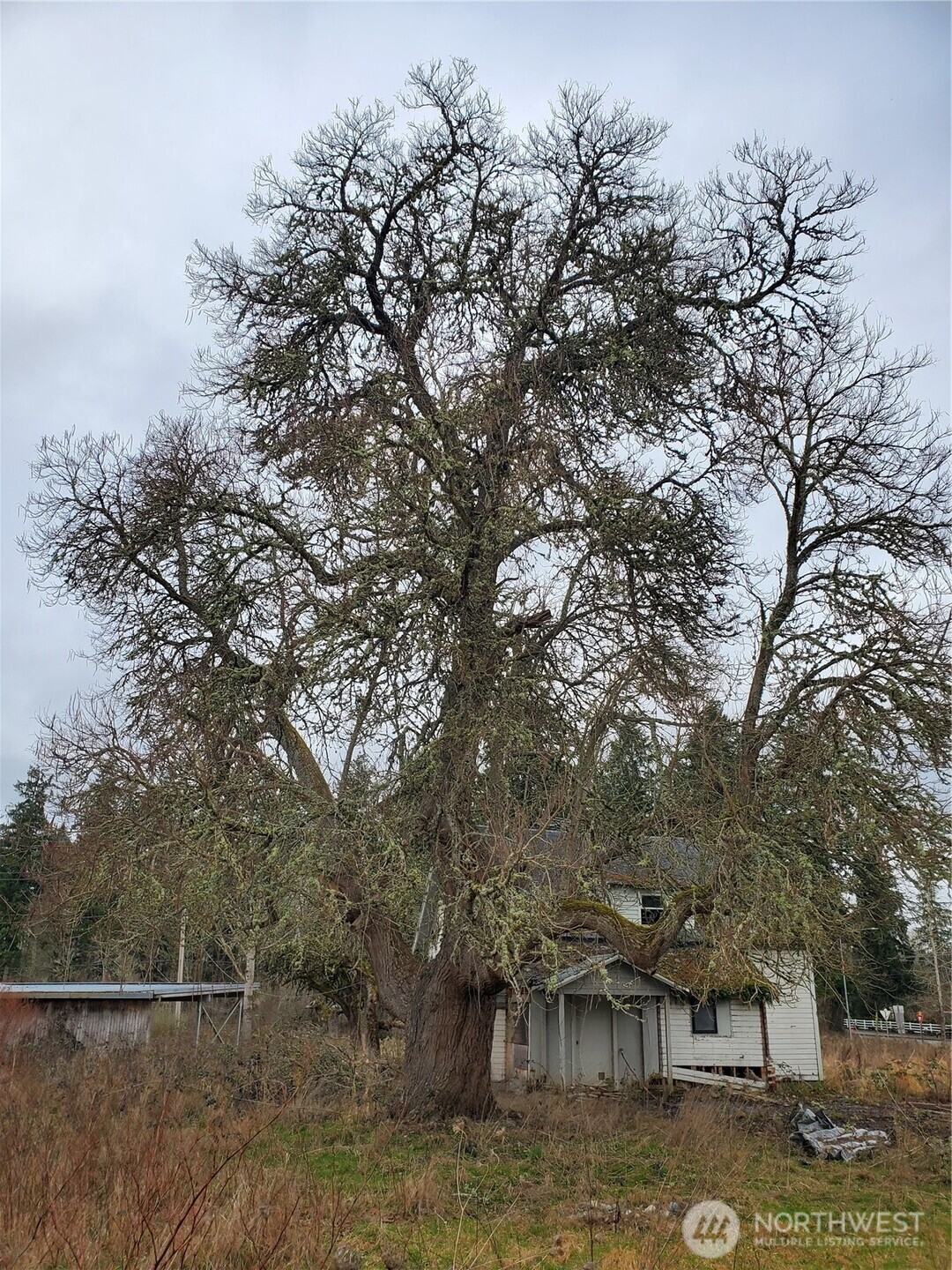 7740 196th Avenue NE, Redmond, WA 98053-4710