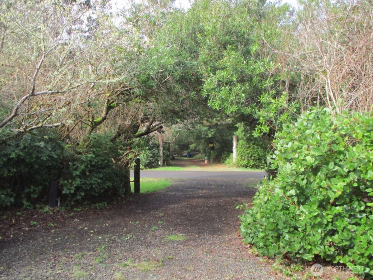 160 S Port Loop SW, Ocean Shores, WA 98569