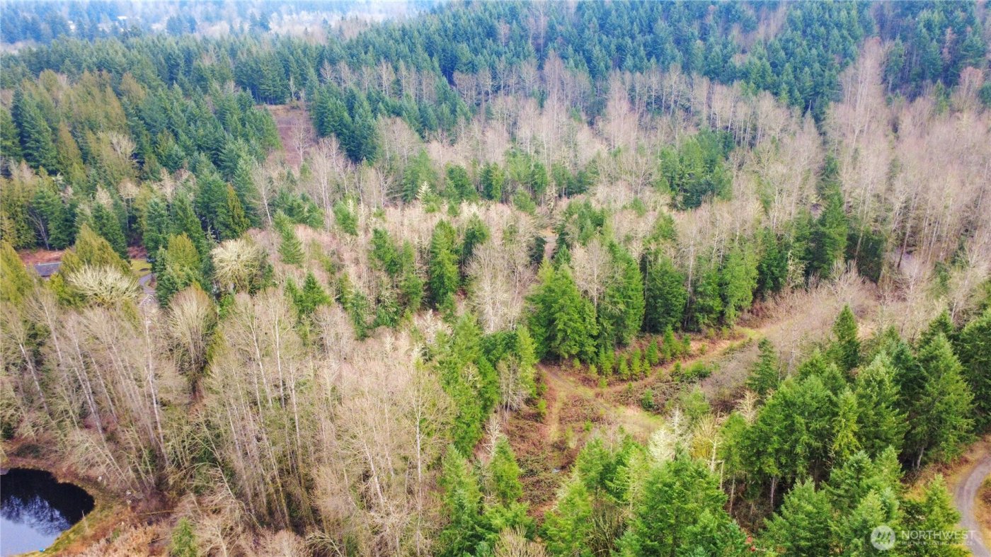 13737 273rd Avenue E, Buckley, WA 98321