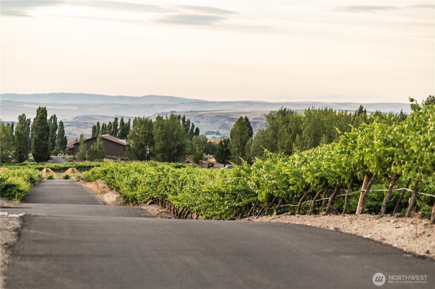 23584 Gorge Loop Drive , Quincy, WA 98848