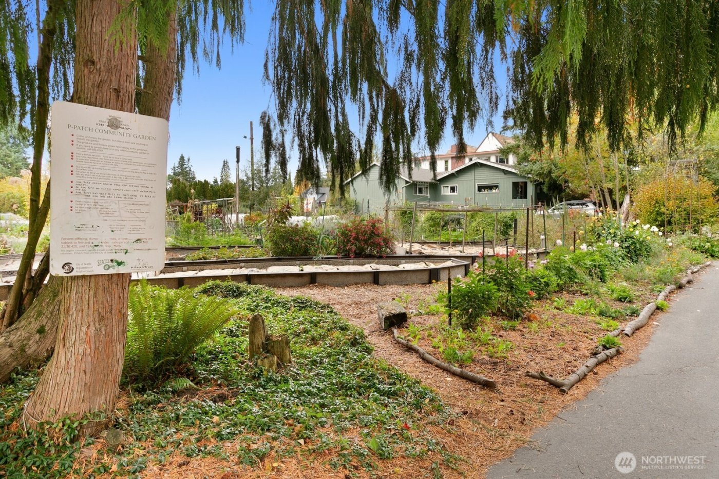 13007 1st Avenue NE, Seattle, WA 98125