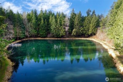 22233 N Clear Lake Boulevard SE, Yelm, WA 98597 - Photo 39