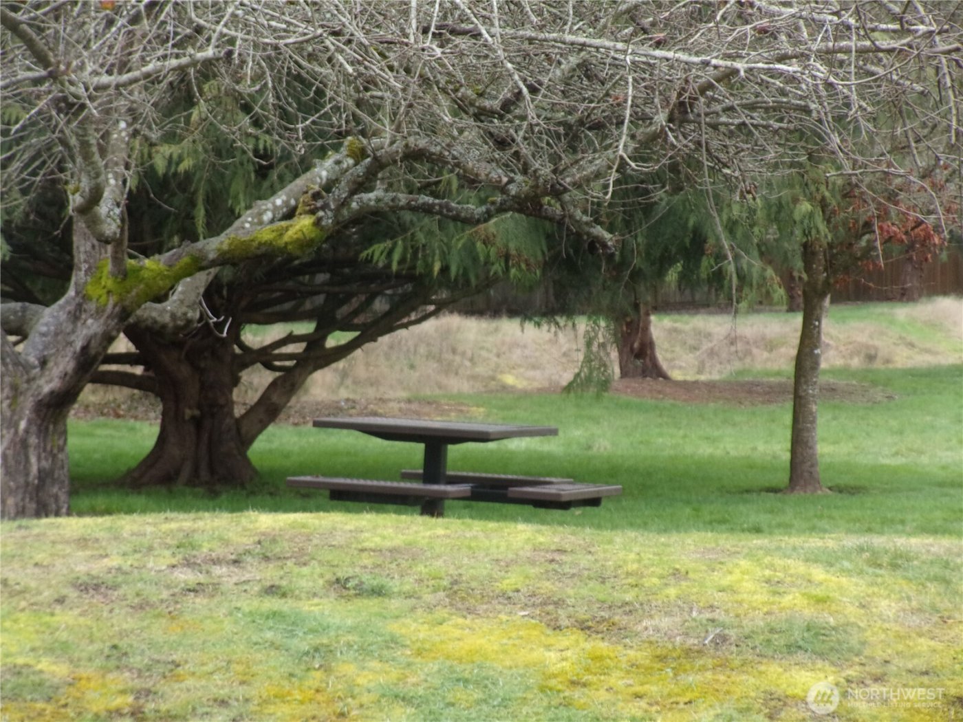 10509 Yelm Terra Street SE, Yelm, WA 98597