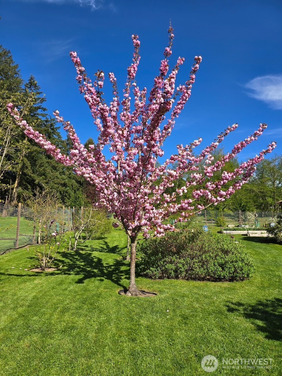 898 E Meadowood Lane , Freeland, WA 98249