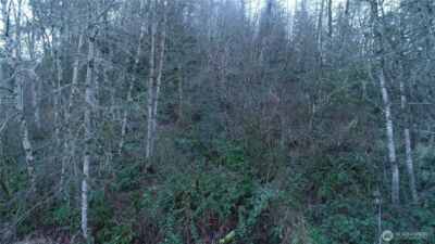 0 N 2nd St , Morton, WA 98572 - Photo 3