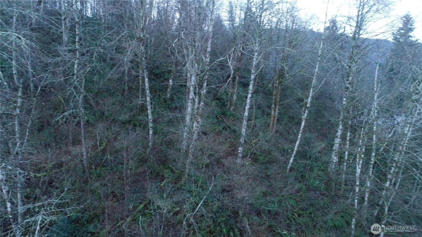 0 N 2nd St , Morton, WA 98572