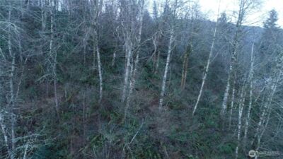 0 N 2nd St , Morton, WA 98572 - Photo 5