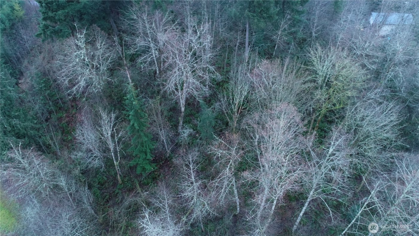 0 N 2nd St , Morton, WA 98572