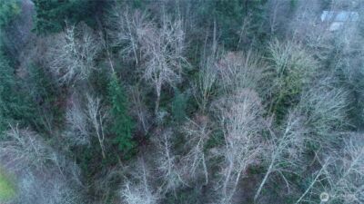 0 N 2nd St , Morton, WA 98572 - Photo 6