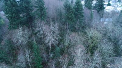 0 N 2nd St , Morton, WA 98572 - Photo 7