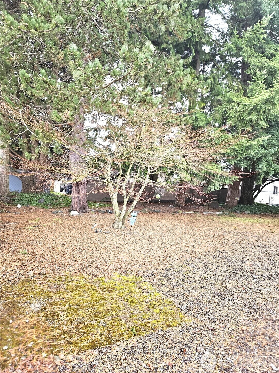 1427 100th Street #75, Everett, WA 98204