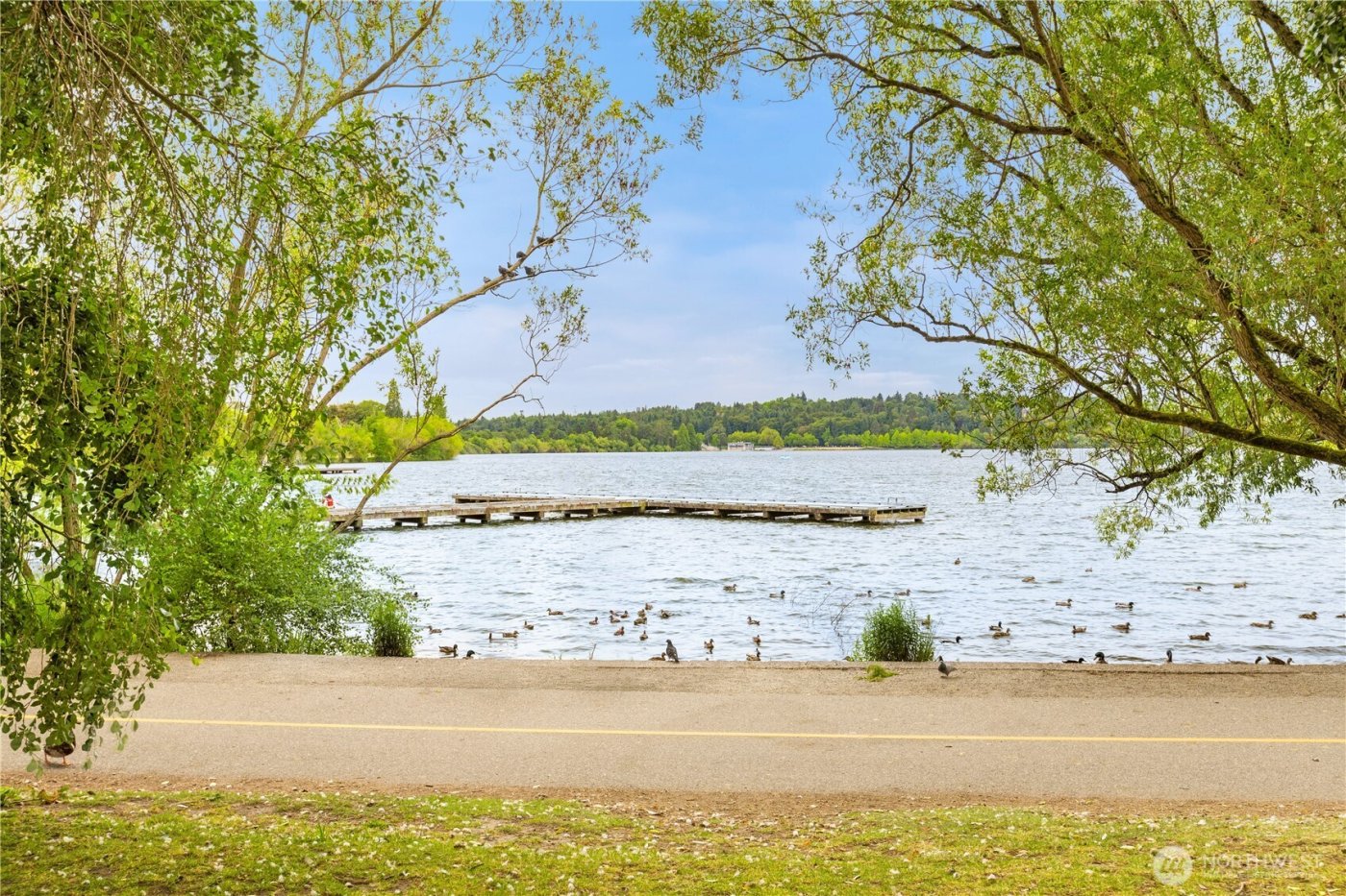 6544 A Latona Avenue NE, Seattle, WA 98115