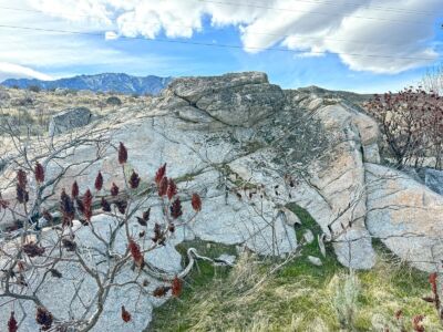 0 NNA Lot 3 Coyote Rapids Long Plat , Pateros, WA 98846 - Photo 4