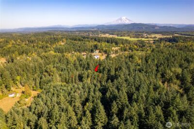 36716 Eatonville Cutoff Road E, Eatonville, WA 98328 - Photo 11