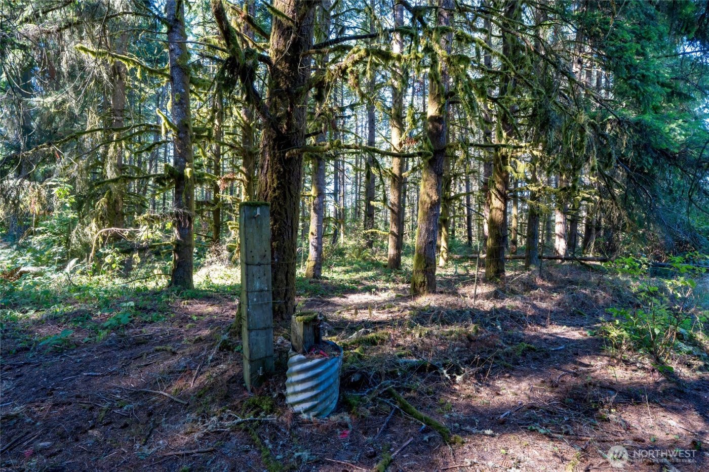 36716 Eatonville Cutoff Road E, Eatonville, WA 98328