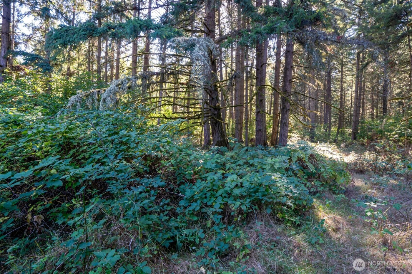 36716 Eatonville Cutoff Road E, Eatonville, WA 98328