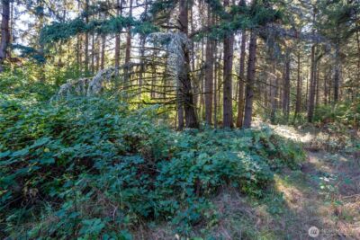 36716 Eatonville Cutoff Road E, Eatonville, WA 98328 - Photo 20