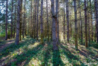 36716 Eatonville Cutoff Road E, Eatonville, WA 98328 - Photo 22