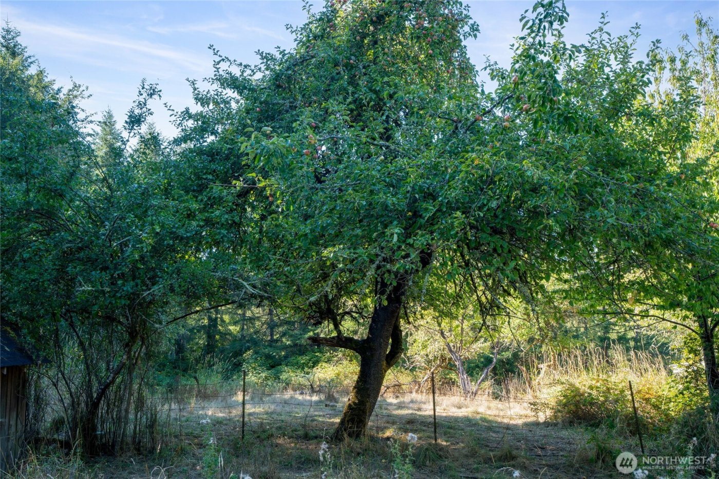 36716 Eatonville Cutoff Road E, Eatonville, WA 98328