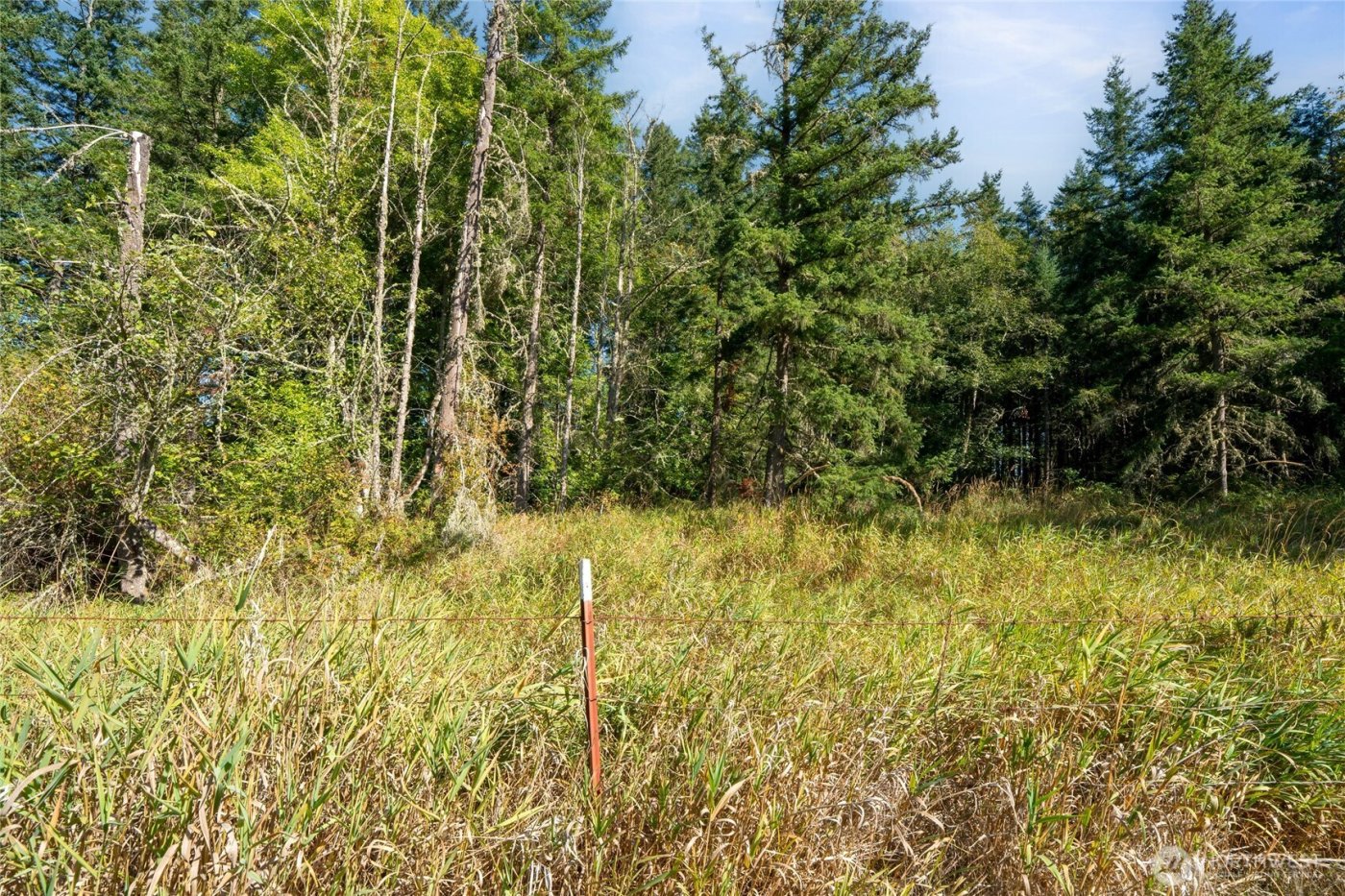 36716 Eatonville Cutoff Road E, Eatonville, WA 98328