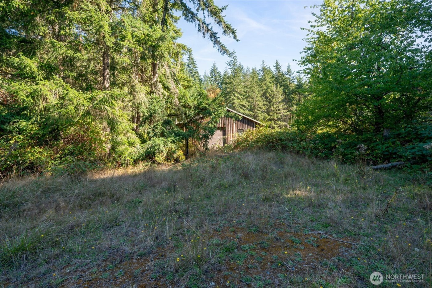 36716 Eatonville Cutoff Road E, Eatonville, WA 98328