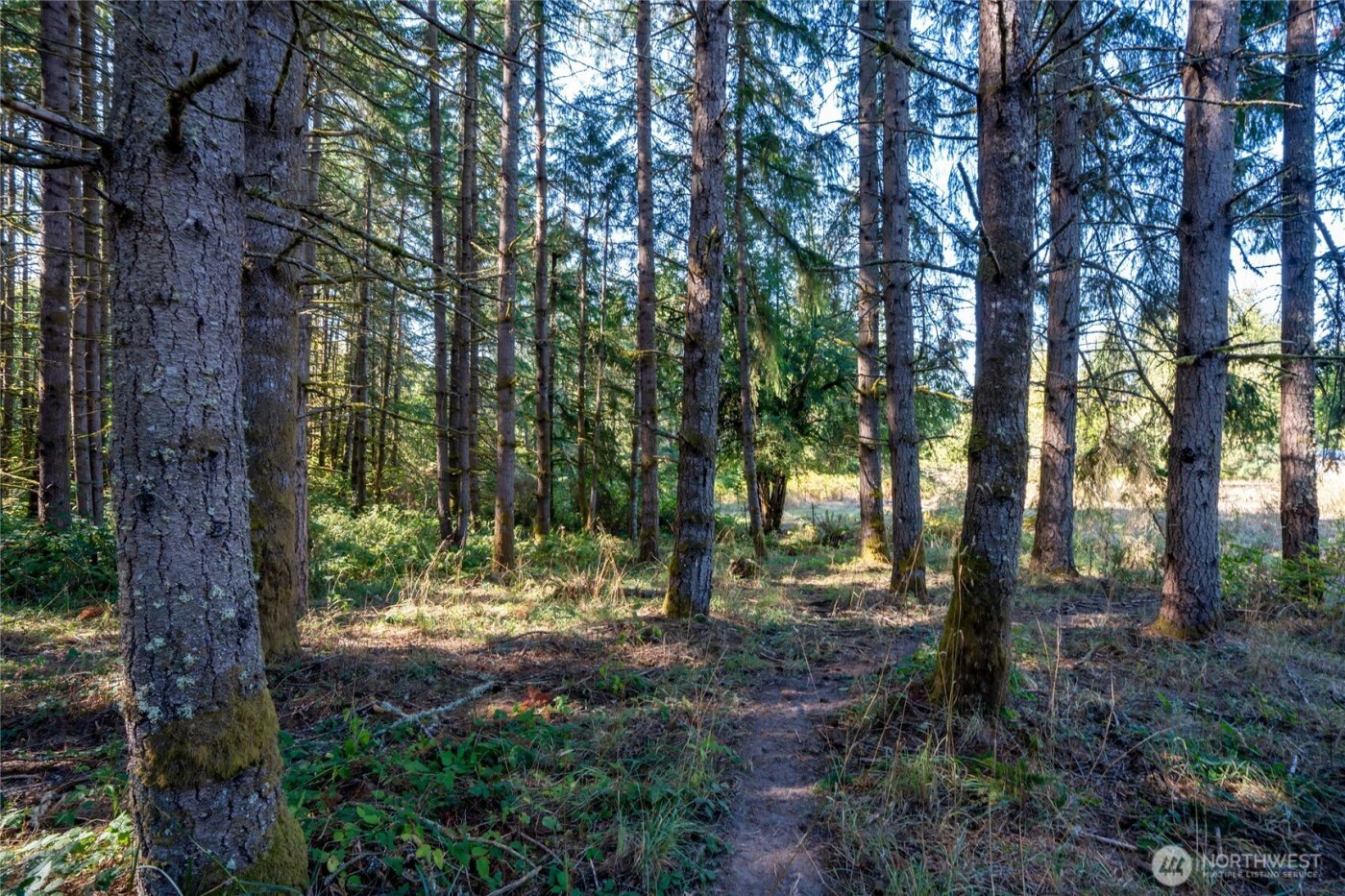 36716 Eatonville Cutoff Road E, Eatonville, WA 98328