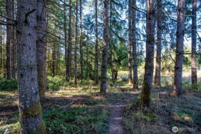 36716 Eatonville Cutoff Road E, Eatonville, WA 98328 - Photo 8