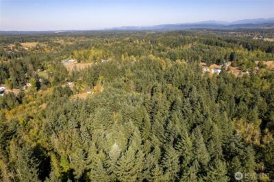 36716 Eatonville Cutoff Road E, Eatonville, WA 98328 - Photo 10