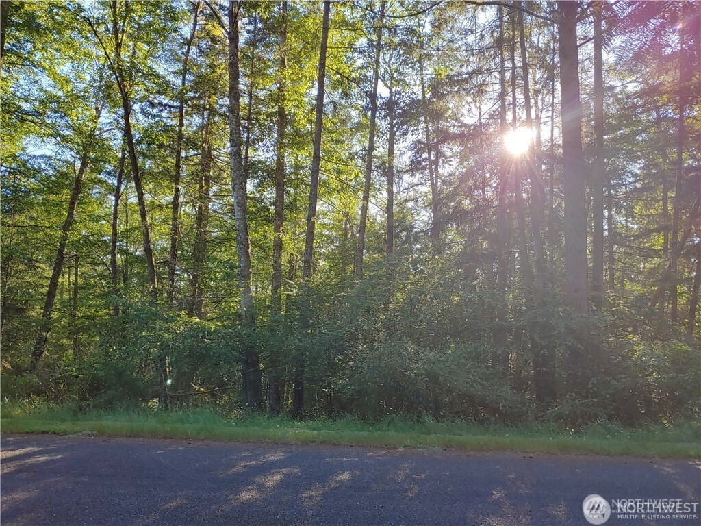 8906 130th Avenue Ct , Anderson Island, WA 98303