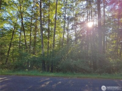 8906 130th Avenue Ct , Anderson Island, WA 98303