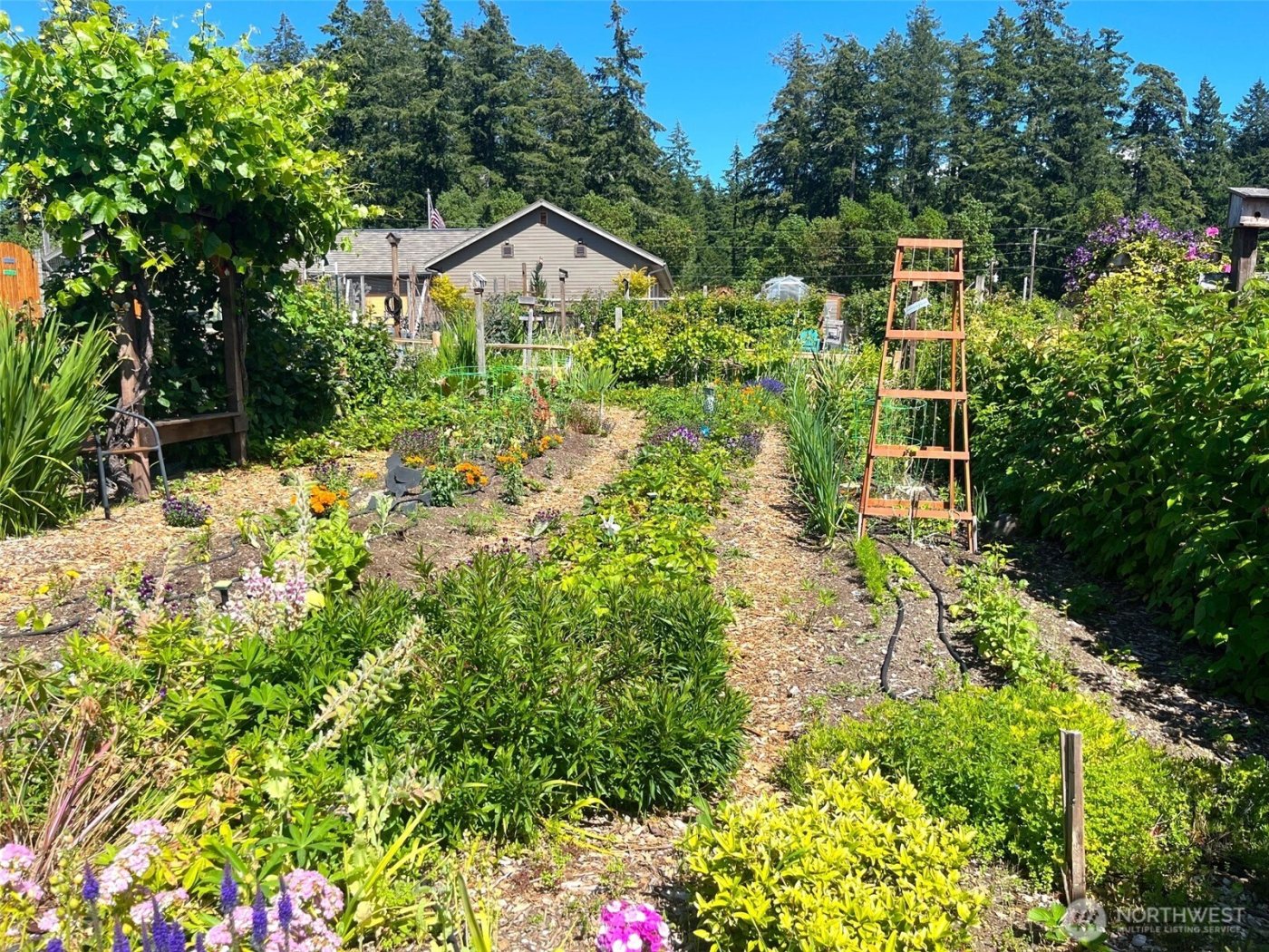 8906 130th Avenue Ct , Anderson Island, WA 98303