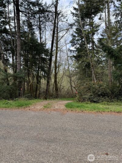 8914 130th Avenue Ct , Anderson Island, WA 98303 - Photo 2