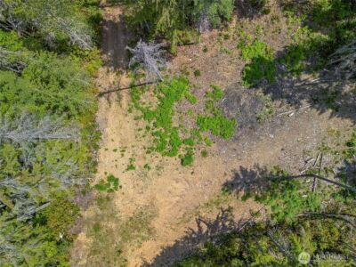 905 NE Tahuya Blacksmith Road , Tahuya, WA 98588