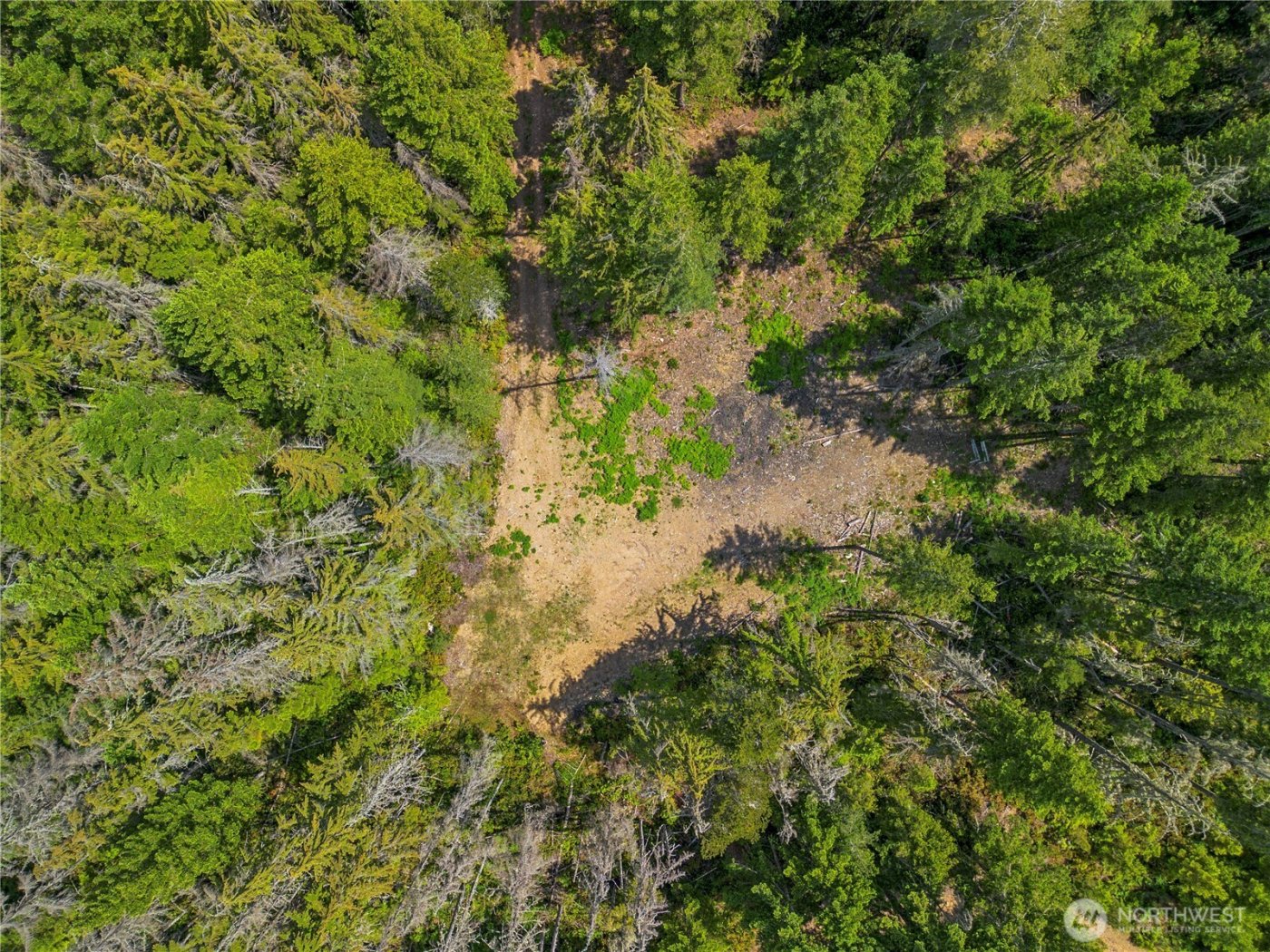 905 NE Tahuya Blacksmith Road , Tahuya, WA 98588