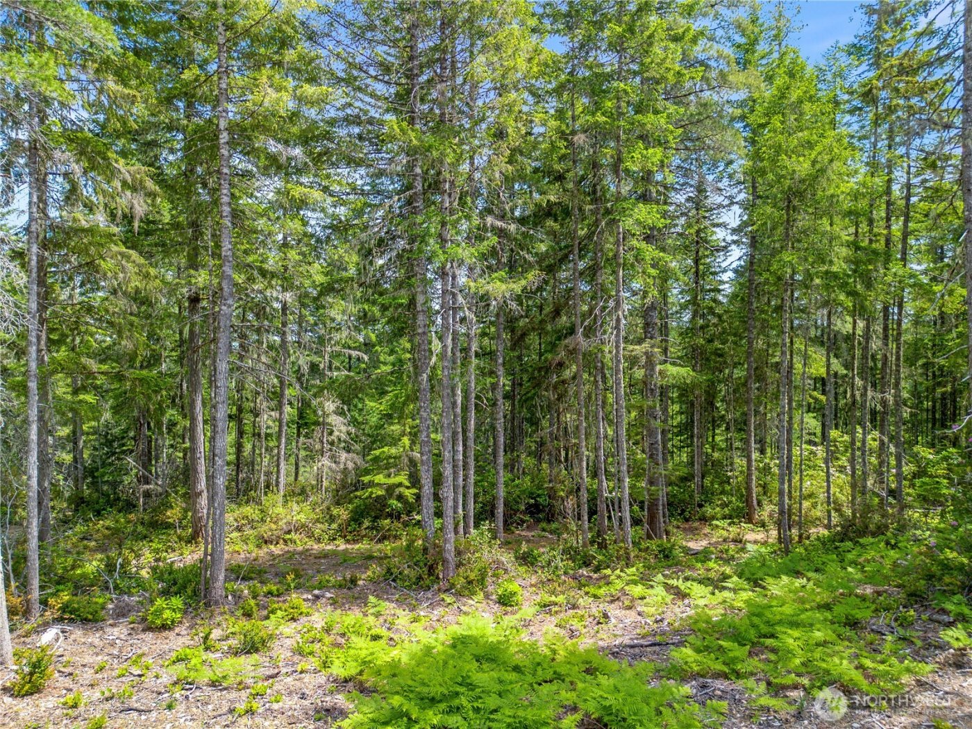 905 NE Tahuya Blacksmith Road , Tahuya, WA 98588