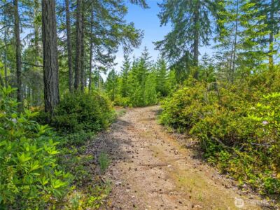 905 NE Tahuya Blacksmith Road , Tahuya, WA 98588 - Photo 12