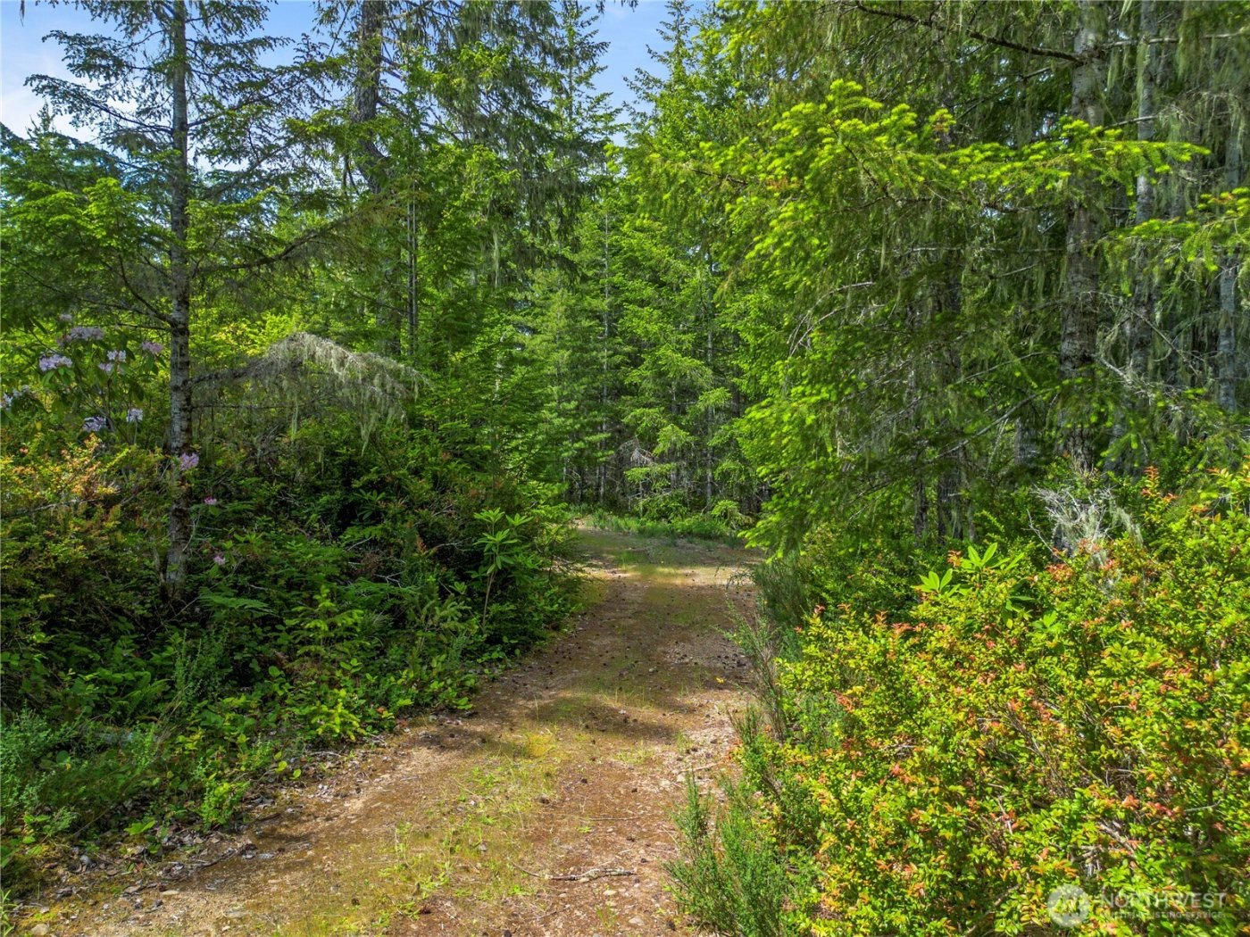 905 NE Tahuya Blacksmith Road , Tahuya, WA 98588