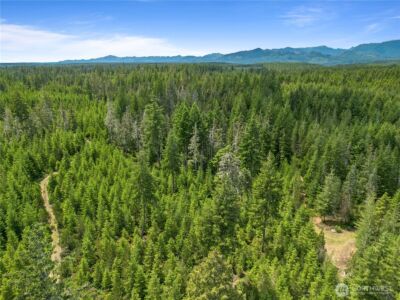 905 NE Tahuya Blacksmith Road , Tahuya, WA 98588 - Photo 15