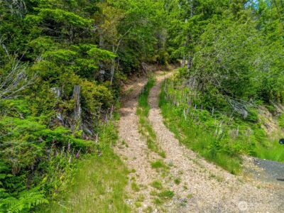 905 NE Tahuya Blacksmith Road , Tahuya, WA 98588 - Photo 16